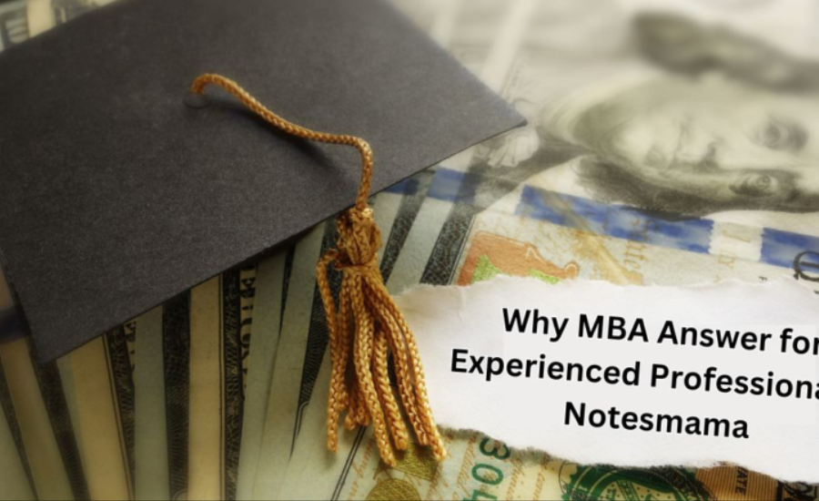 why mba answer for experienced professionals-notesmama