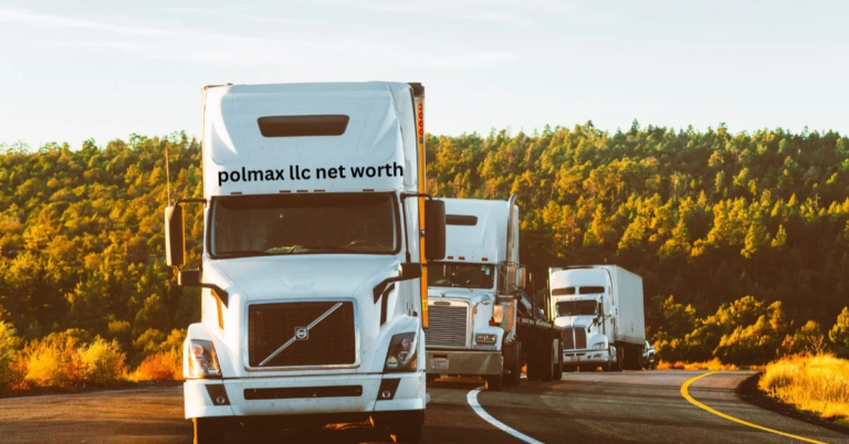 Polmax LLC Net Worth: A Comprehensive Overview