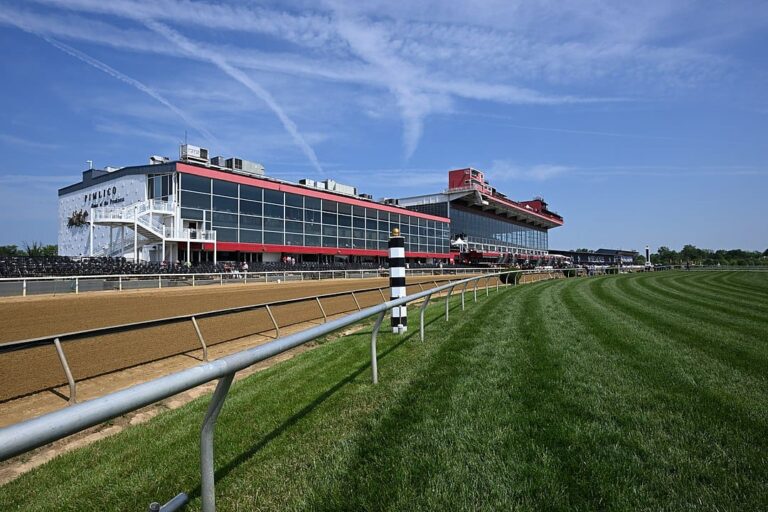 What Is The Importance Of Preakness For Baltimore Culture