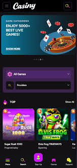 Comprehensive Casiny Casino Review 0 Comprehensive Casiny Casino Review 0